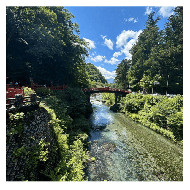 Tokyo: Nikko Kegon Falls Lake Chuzenji Toshogu Temple & More - How the private driver changes your Nikko day