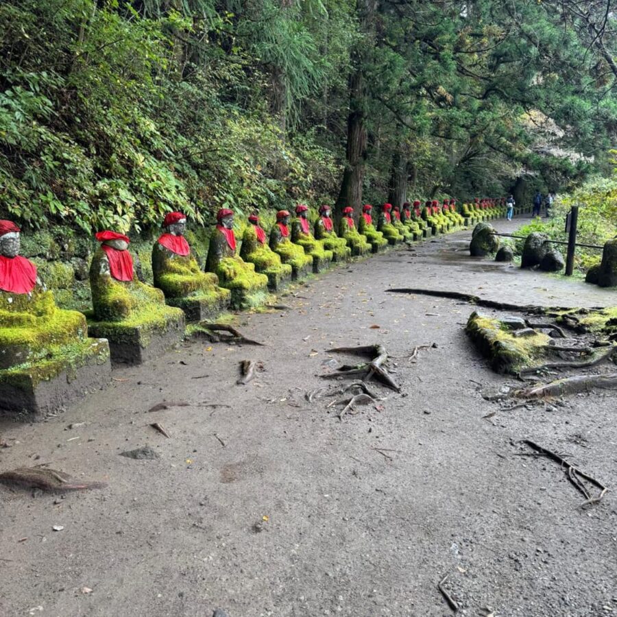 Tokyo → Nikko:Private Customizable Day Trip (English Driver) - Nikkō National Park: Forest Walks Without a Hurry