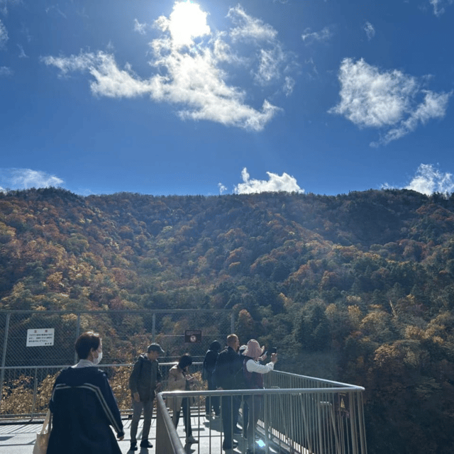 Tokyo → Nikko:Private Customizable Day Trip (English Driver) - Nikko Town and Tochigi Prefecture: Where the Day Feels Local