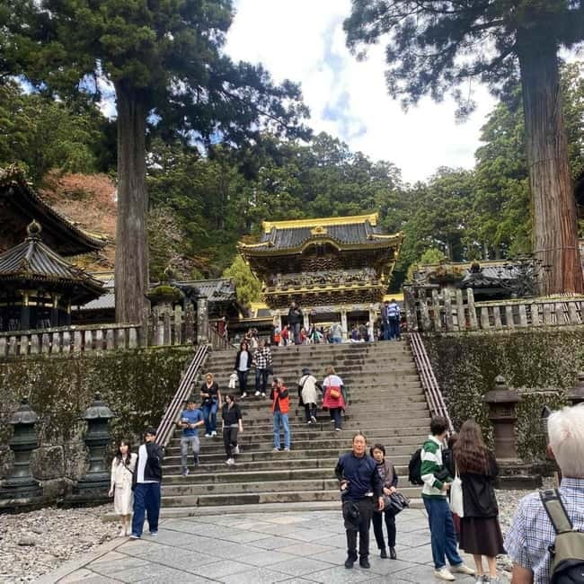 Tokyo: Nikko Private Day Tour Fully Customizeable Low Price - Key highlights worth your attention