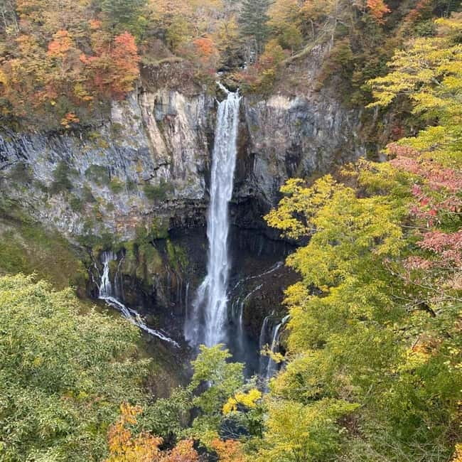 Tokyo: Nikko Private Day Tour Fully Customizeable Low Price - Why Nikko fits a one-day private tour from Tokyo
