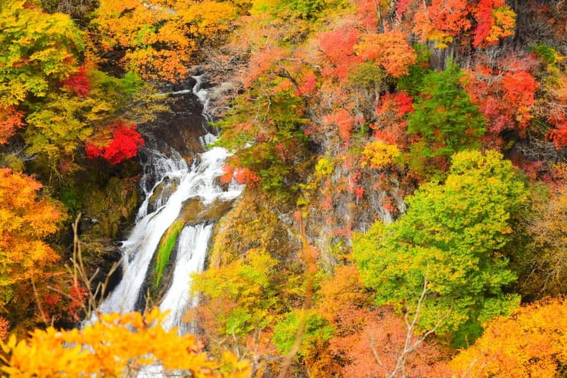 Tokyo: Nikko Private Sightseeing Day Trip with Driver - Shinkyo Bridge Photo Stop: The Red Gate of Nikko
