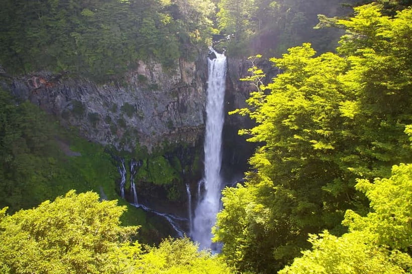 Tokyo: Nikko Private Sightseeing Day Trip with Driver - Price, Inclusions, and What You’ll Still Need to Pay