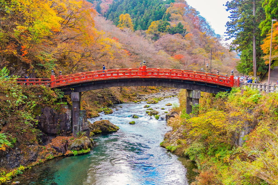 Tokyo Nikko Toshogu Shrine Iroha-zaka Lake Chuzenji Day Tour - Mashōdai Skyline Cable Car: The 1,373-Meter View Over Lake Chuzenji