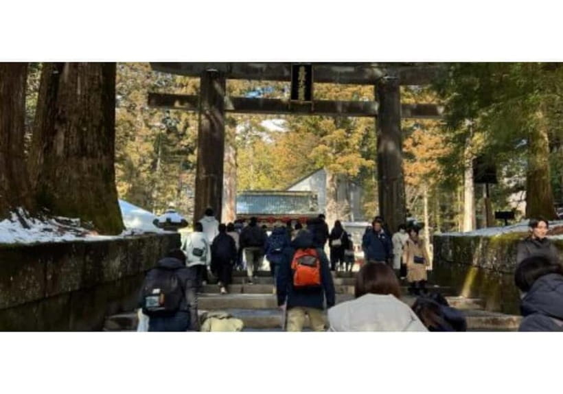 Tokyo: Nikko World Heritage Private Day Trip Hotel Pick-up - Door-to-Door From Tokyo: How This Day Trip Saves Your Energy
