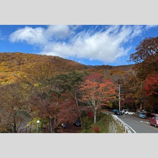 Tokyo: Nikko World Heritage Private Day Trip Hotel Pick-up - Your Driver and Vehicle: Comfort, Timing, and Photo Help