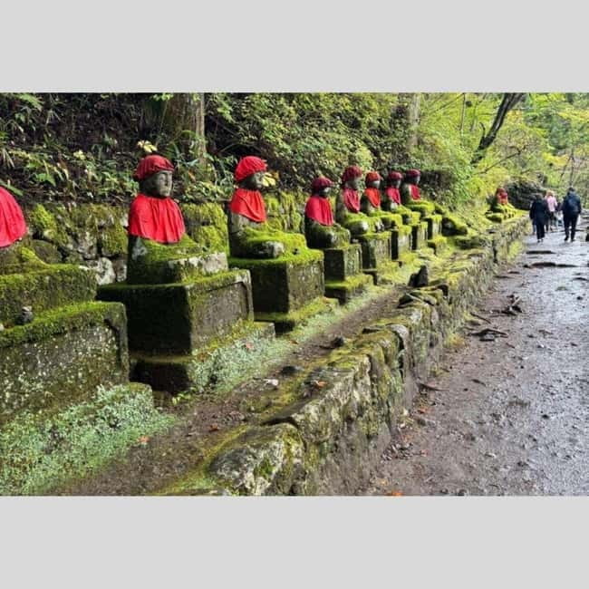 Tokyo: Nikko World Heritage Private Day Trip Hotel Pick-up - Toshogu Shrine: Color, Carving, and Tokugawa Ieyasu’s Legacy