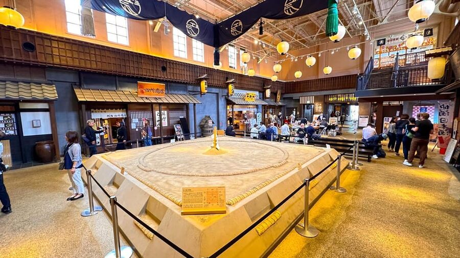 Tokyo: Not a show- a professional sumo practice with experts - Kokugikan and Edo Noren: short stops that connect the dots