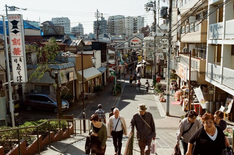 Tokyo: Off the Beaten Path Private Guided Tour - Yanaka Ginza: The Old-Japan Charm You Can Actually Walk Through