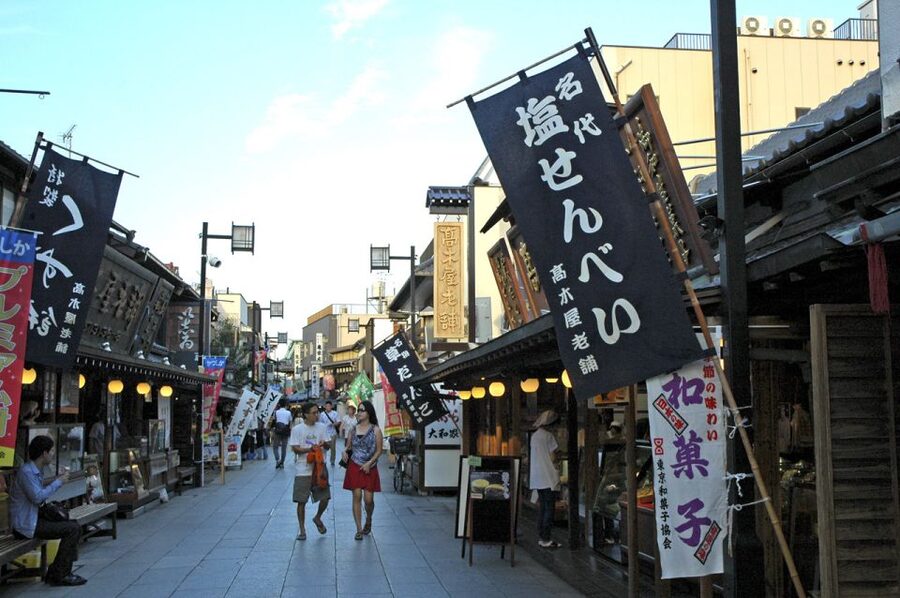 Tokyo: Off the Beaten Path Private Guided Tour - Optional Stops: Nezu, Sendagi, Fukagawa, and Asakusa
