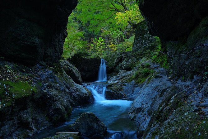 Tokyo Okutama Day Trip Tour - Nippara Limestone Caves: the morning walk that feels otherworldly