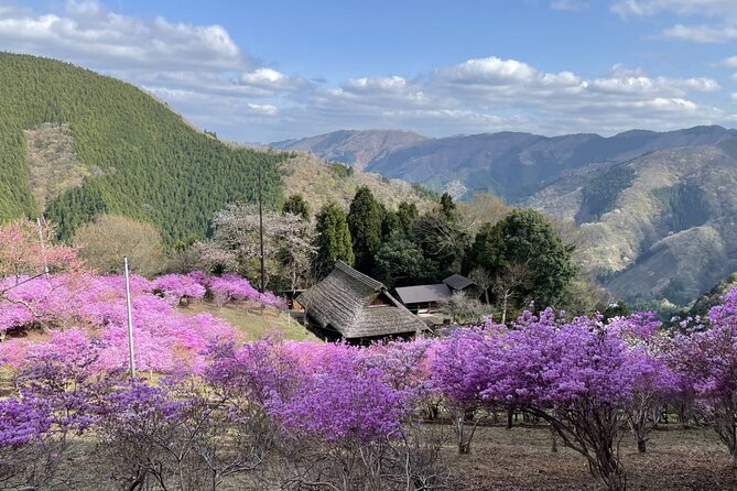 Tokyo Okutama Day Trip Tour - Lake Okutama and the Tsukiyomi viewpoint picnic
