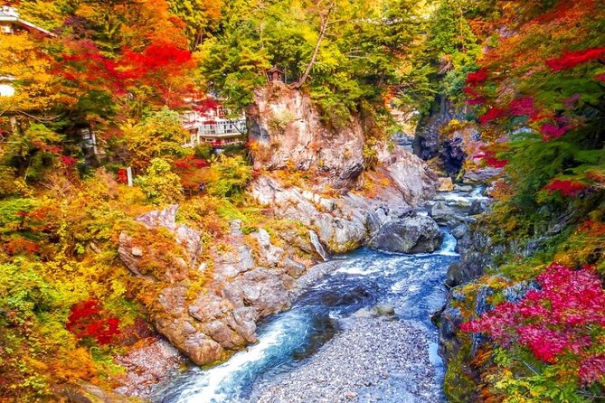 Tokyo Okutama Day Trip Tour - Getting out of Tokyo: pickup, meeting point, and motion sickness tips