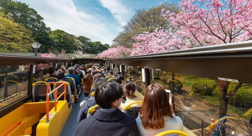 Tokyo: Open Top Panoramic Sightseeing Bus with Audio Guide - What a 70-minute open-top bus gets you in Tokyo