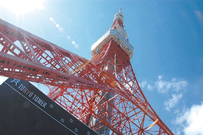 Tokyo Panoramic 1 Day: Meiji Shrine, Asakusa, Odaiba and SKYTREE® - Meiji Jingu Shrine: A Forest Break Inside the Metropolis