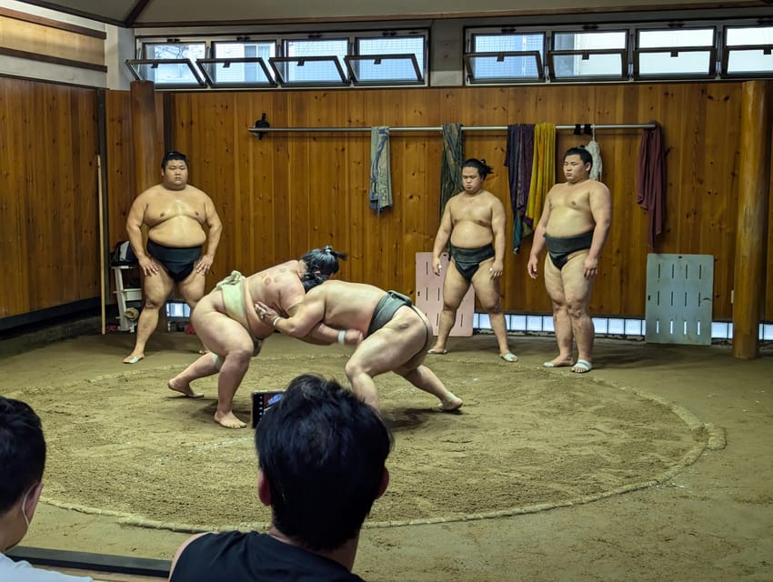 Tokyo: Personalized Half-day Tour - Key things you’ll notice on this tour