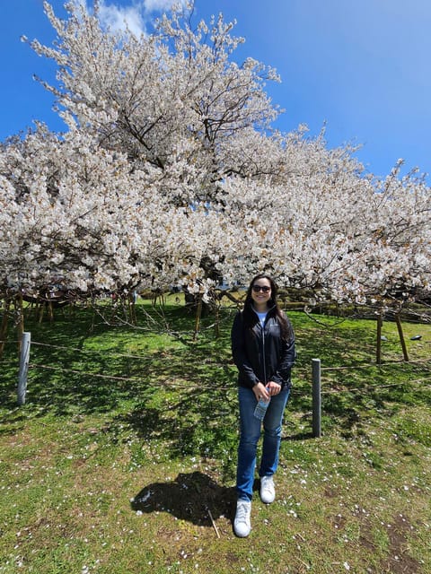 Tokyo: Personalized Half-day Tour - How the Flexible Part Shapes Your Tour: Markets and Themed Cafes