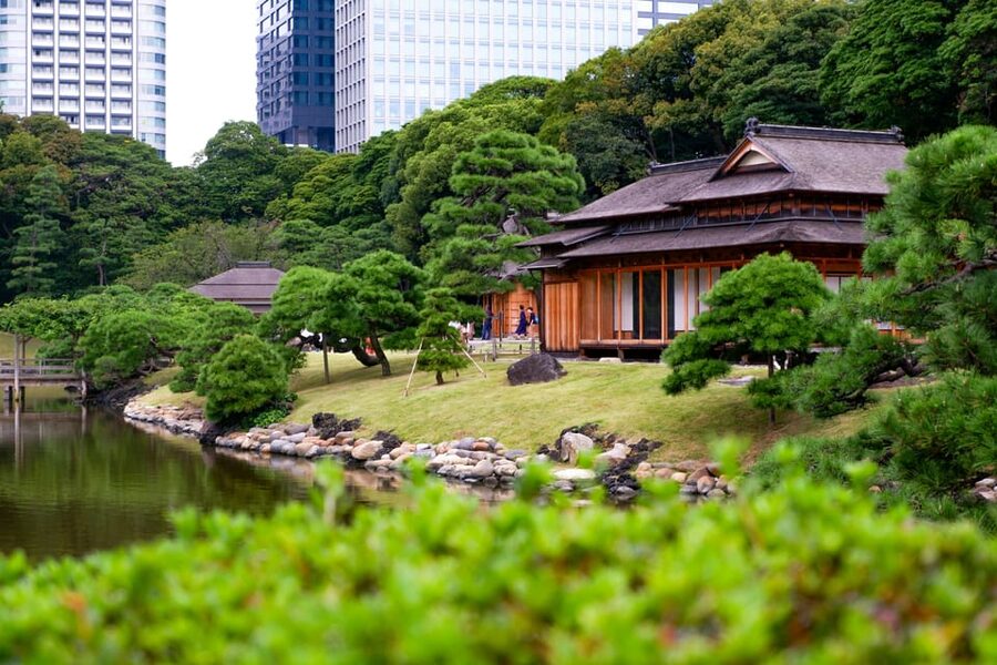 Tokyo: Personalized Private 6-Hour Tour - Picking up in the right spot, then using public transit well