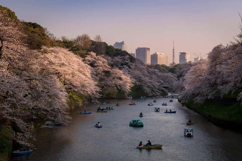 Tokyo: Photography Masterclass - Private Photo Lesson - Key highlights worth knowing