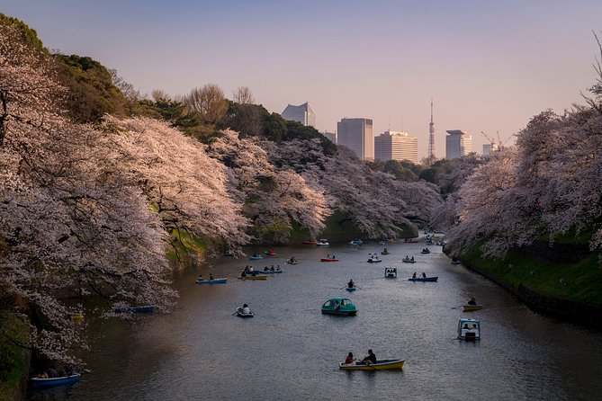 Tokyo Photography Masterclass - Private Photography Lesson - Starting at Hachiko: the quickest way to get photo-ready in Shibuya