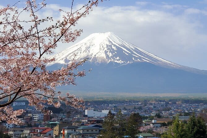 Tokyo: Pre Japan Planning Kit: Itineraries, Food & Survival - How the Shinjuku Starting Point Helps (Without Forcing You)