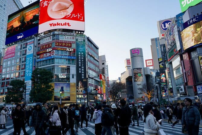 Tokyo: Pre Japan Planning Kit: Itineraries, Food & Survival - Price and Value: $20 for a Group, Up to 15