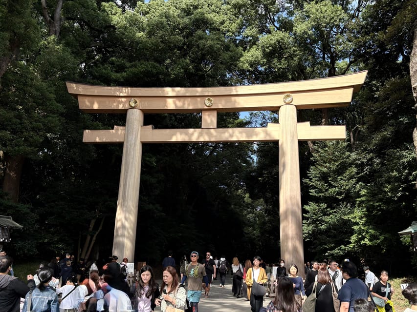 Tokyo: Private 1-Day Sightseeing Tour by Car with Guide - Why a Private Car Day Feels Different in Tokyo