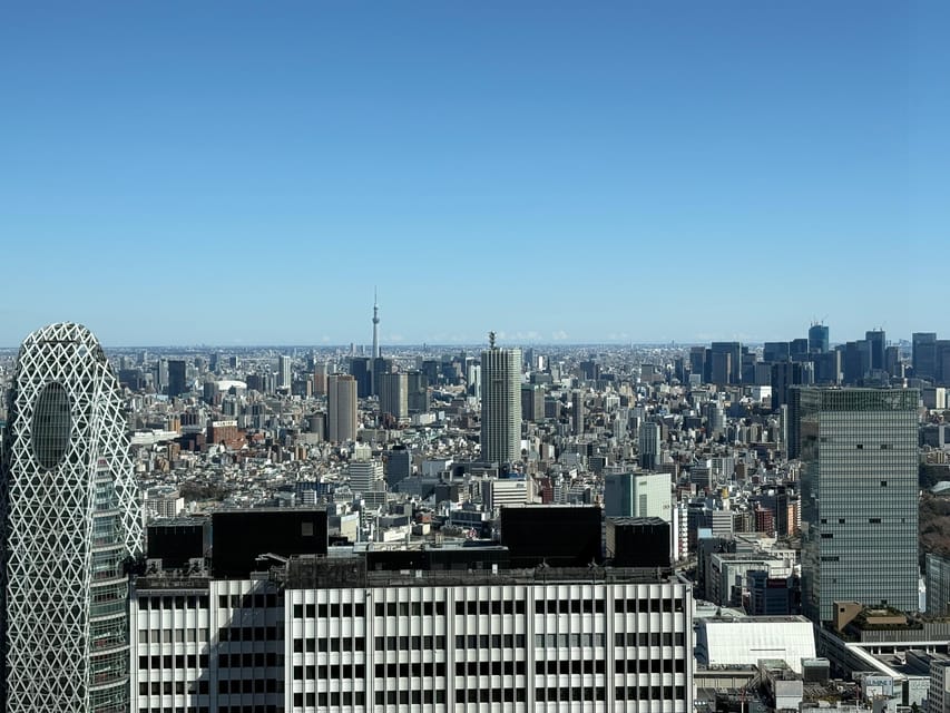 Tokyo: Private 1-Day Sightseeing Tour by Car with Guide - Lunch and Food Timing: No Meals Included, So You Control It