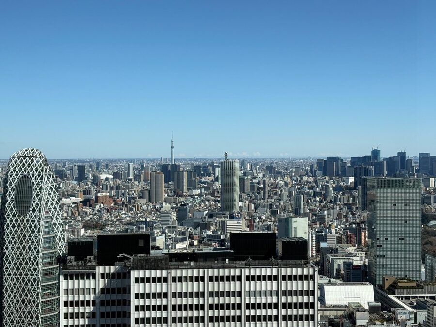 Tokyo: Private 1-Day Sightseeing Tour by Car with Guide - Comfort Details That Actually Matter