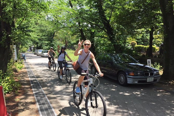 Tokyo Private Chauffeur Tour - Fully Guided - Meiji Jingu Shrine: a calmer pause in the schedule
