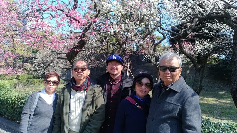 Tokyo: Private City Highlights Tour with Local Guide - Meiji Jingu Shrine Forest: The Quiet Reset Between Neighborhoods