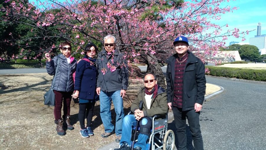 Tokyo: Private City Highlights Tour with Local Guide - Tsukiji Fish Market: A High-Interest Stop for Food-Forward Days