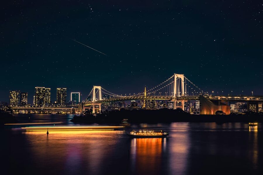 Tokyo: Private Customizable City Tour with Chauffeur - Why a private Tokyo day beats train hopping
