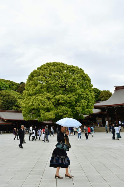 Tokyo: Private Customizable City Tour with Chauffeur - Asakusa Shrine (Sensoji): traditional Tokyo without the time tax