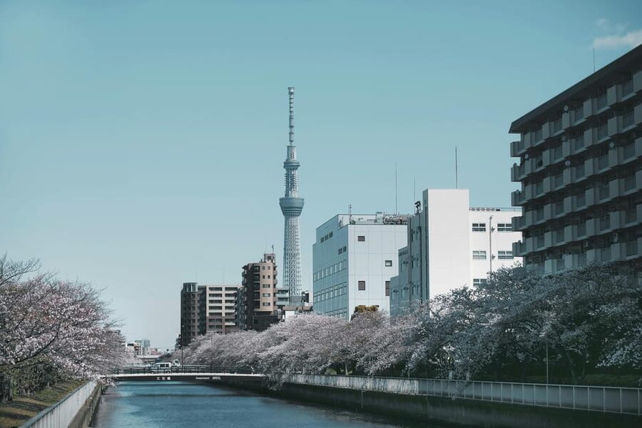 Tokyo: Private Customizable City Tour with Chauffeur - The money math: $348 per group, up to 6