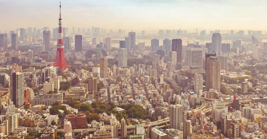 Tokyo: Private Customizable Day Tour of Tokyo - What you get from the driver (and what you may add)