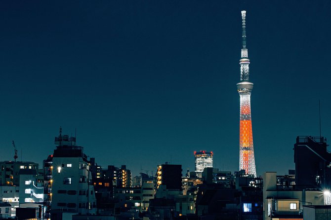 Tokyo Private Customizable Full Day Tour - Parks and old-town neighborhoods: Ueno’s Tokugawa ground and quieter streets