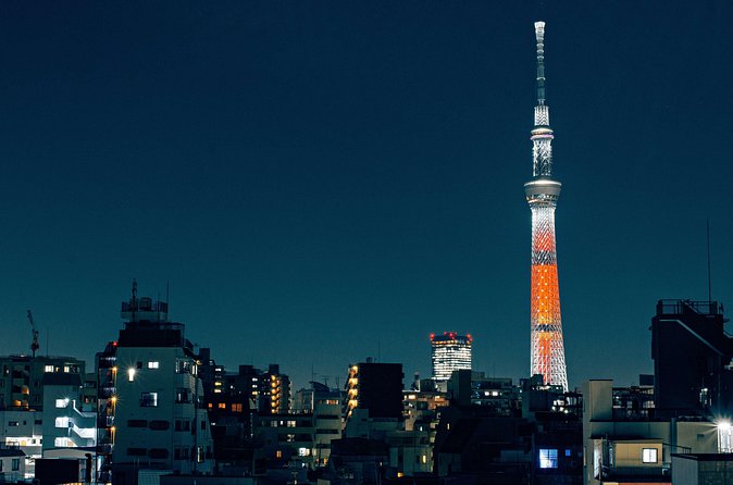 Tokyo Private Customizable Full Day Tour - Meiji Shrine and Shinjuku’s station-area energy