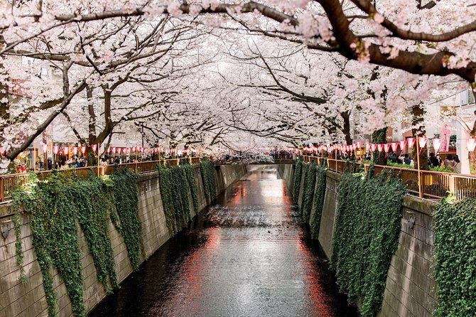 Tokyo Private Customizable Full Day Tour - Edo roots and classic temple streets: Imperial grounds and Senso-ji