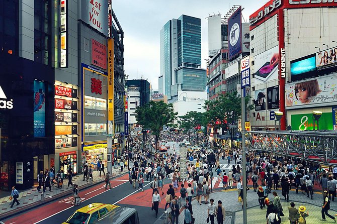 Tokyo Private Customizable Half Day Tour - Included Extras That Actually Matter in Tokyo