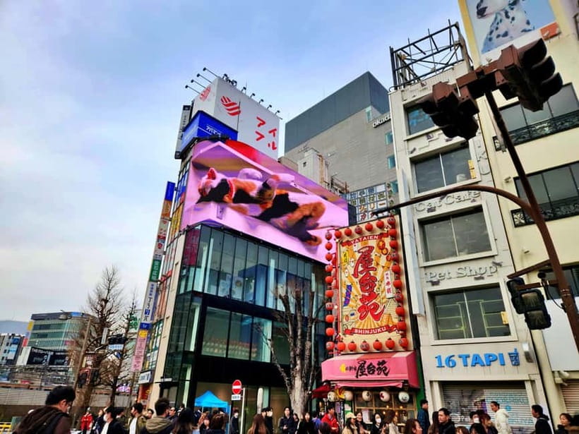 Tokyo: Private & Customizable Tour - All-in-One Experience - Wheelchair Accessible, Private, and Built for Different Groups