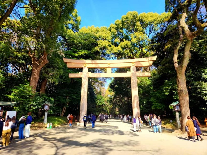 Tokyo: Private & Customizable Tour - All-in-One Experience - Tokyo Classics, Rebuilt for Real People
