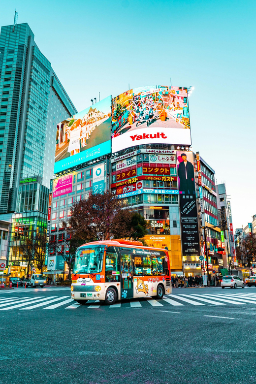 Tokyo: Private & Customizable Tour - All-in-One Experience - Walking Realities: The Best Advice for Your Shoes and Your Day Length
