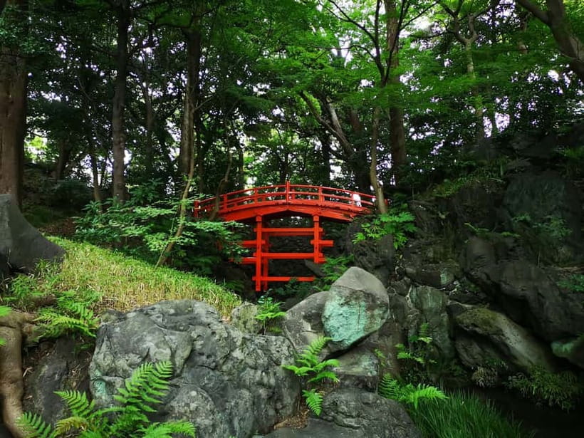 Tokyo: Private & Customizable Tour - All-in-One Experience - Kids, Families, and Teen-Friendly Pacing