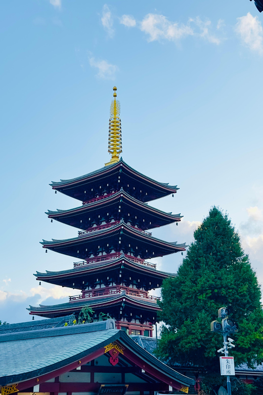 Tokyo: Private & Customizable Tour W/English Speaking Guide - Price and Value for a Group Up to Six