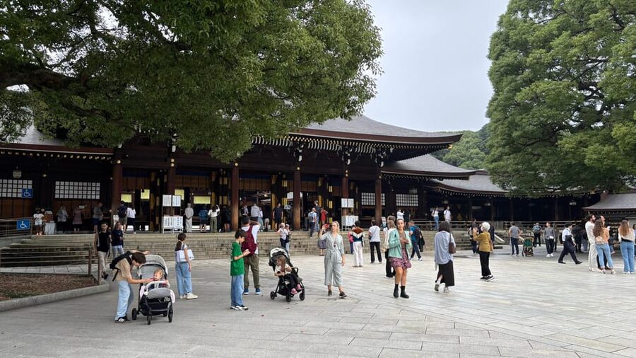 Tokyo: Private Customizable Tour with a Local Guide - Key things that make this tour worth your time