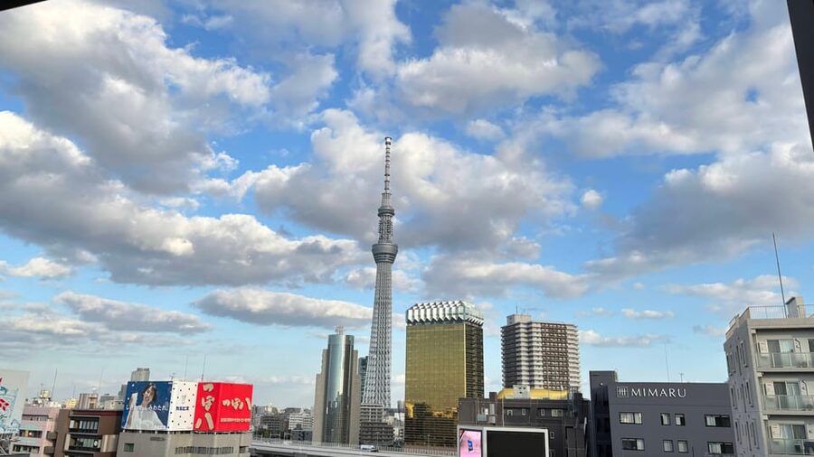 Tokyo: Private Customizable Tour with a Local Guide - Tsukiji Outer Market: where your day gets delicious momentum