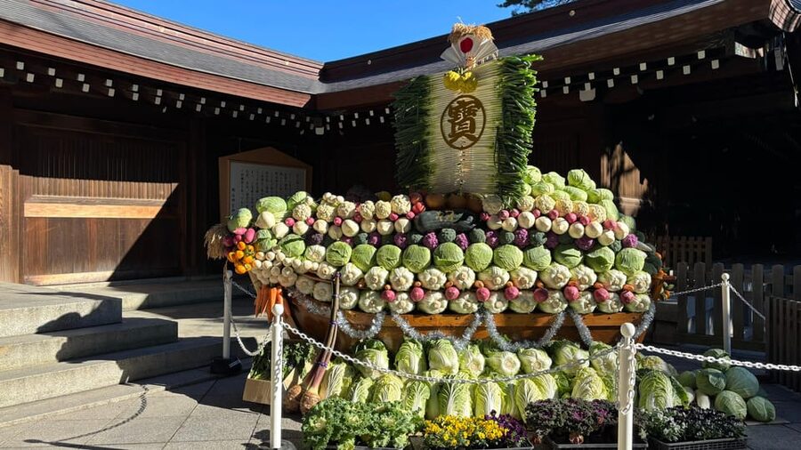 Tokyo: Private Customizable Tour with a Local Guide - Meiji Jingu Shrine: a calm break from the city rush