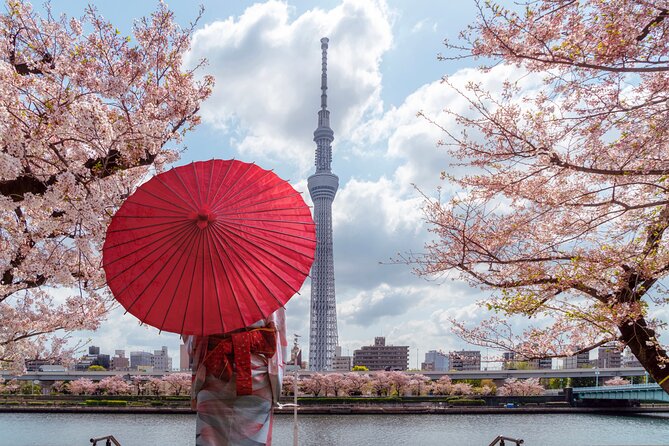 Tokyo Private Customizable Tour with English Speaking Chauffeur - Private Tokyo by chauffeur: why this style works