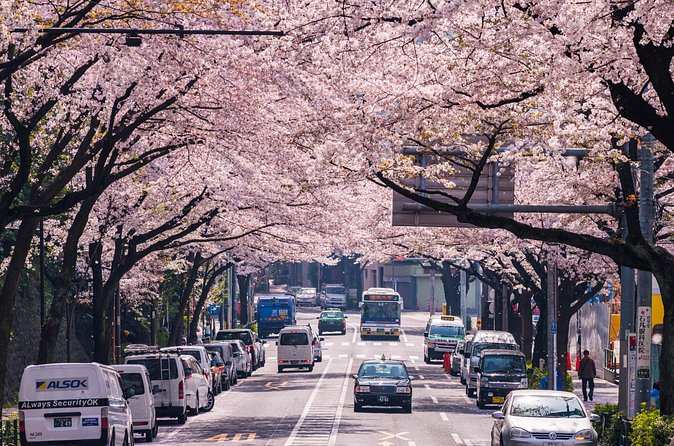 Tokyo Private Customizable Tour with English Speaking Chauffeur - Tokyo Tower: postwar symbol and photo-worthy views